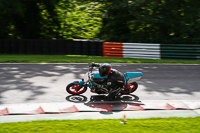 cadwell-no-limits-trackday;cadwell-park;cadwell-park-photographs;cadwell-trackday-photographs;enduro-digital-images;event-digital-images;eventdigitalimages;no-limits-trackdays;peter-wileman-photography;racing-digital-images;trackday-digital-images;trackday-photos
